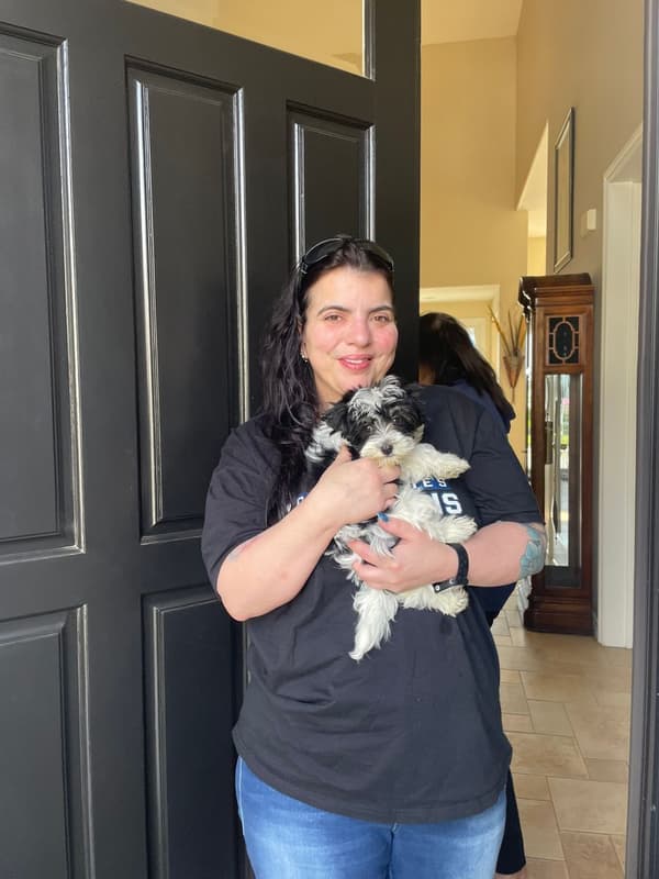 Customer photo of Havanese puppy from Macy D.