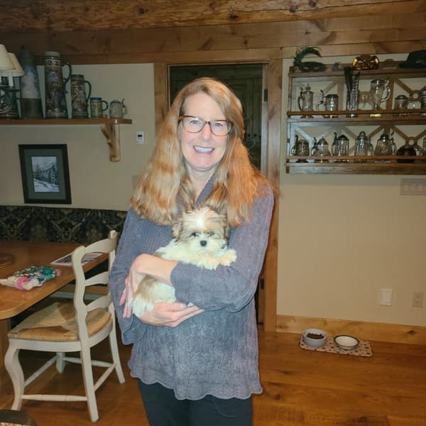 Customer photo of Shih Tzu puppy from Colleen C.