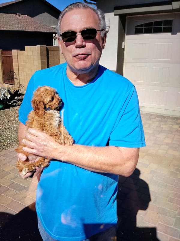 Customer photo of Cavapoo puppy from Roger K.
