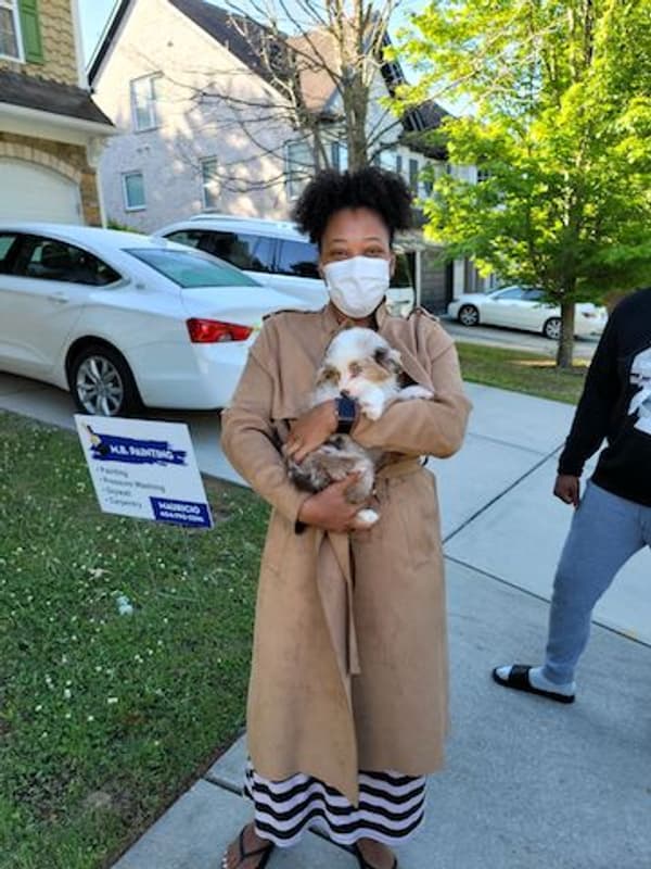 Customer photo of Miniature Australian Shepherd puppy from Precious G.