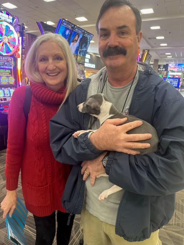 Customer photo of Italian Greyhound puppy from James B.