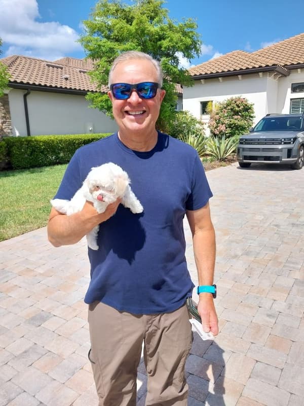 Customer photo of Maltese puppy from Basil P.