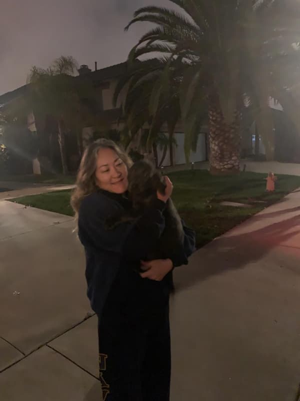 Customer photo of Labrador Retriever puppy from Ann H.