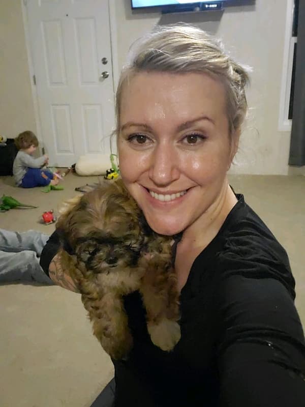 Customer photo of Shih-Poo - Shihpoo puppy from Laura W.