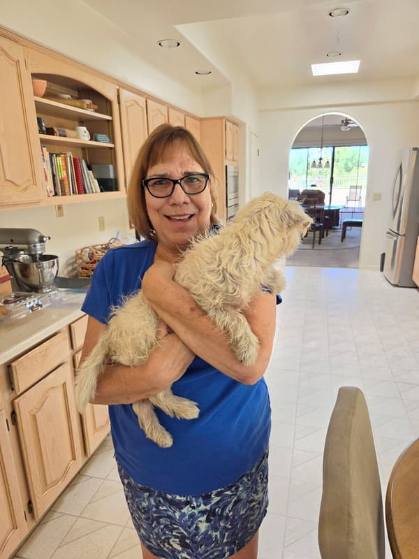 Customer photo of West Highland White Terrier - Westie puppy from Karen D.