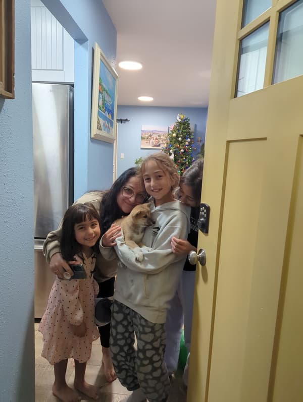 Customer photo of Shiba Inu puppy from Liana S.