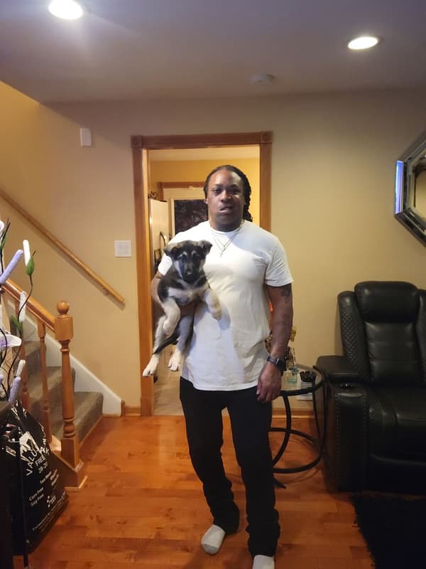 Customer photo of German Shepherd puppy from Damon R. 