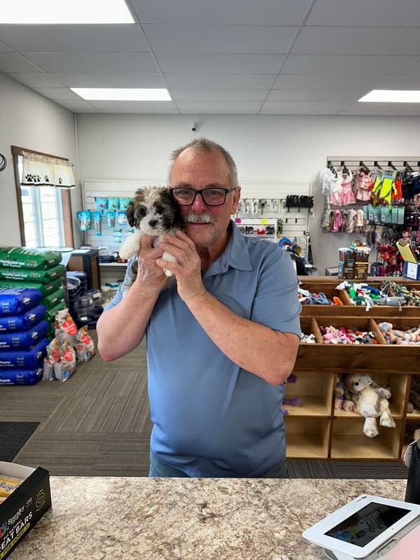 Customer photo of Havanese puppy from Richard W.