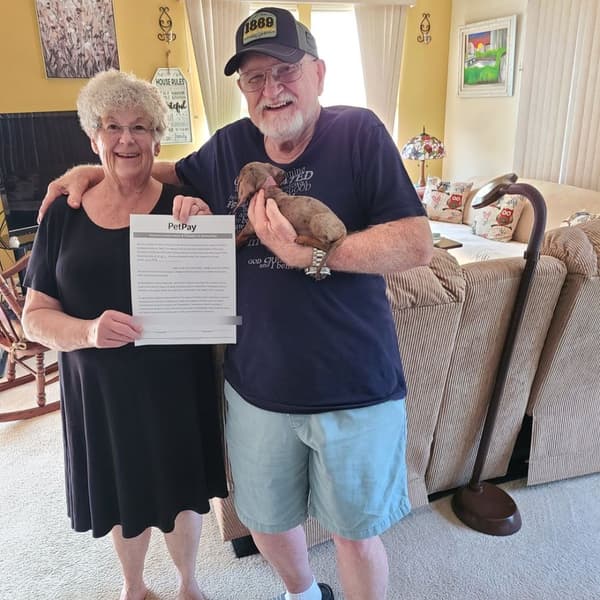 Customer photo of Dachshund, Mini puppy from James & Sandra W.