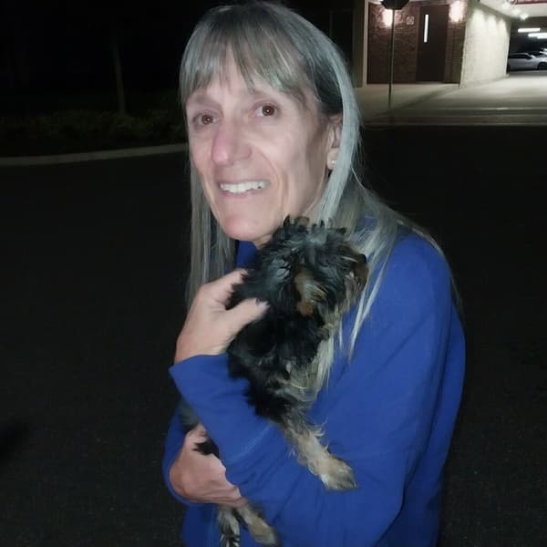 Customer photo of Yorkshire Terrier - Yorkie puppy from Linda L.