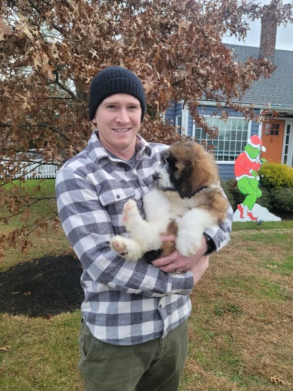 Customer photo of Saint Berdoodle - St. Berdoodle puppy from Dan M.