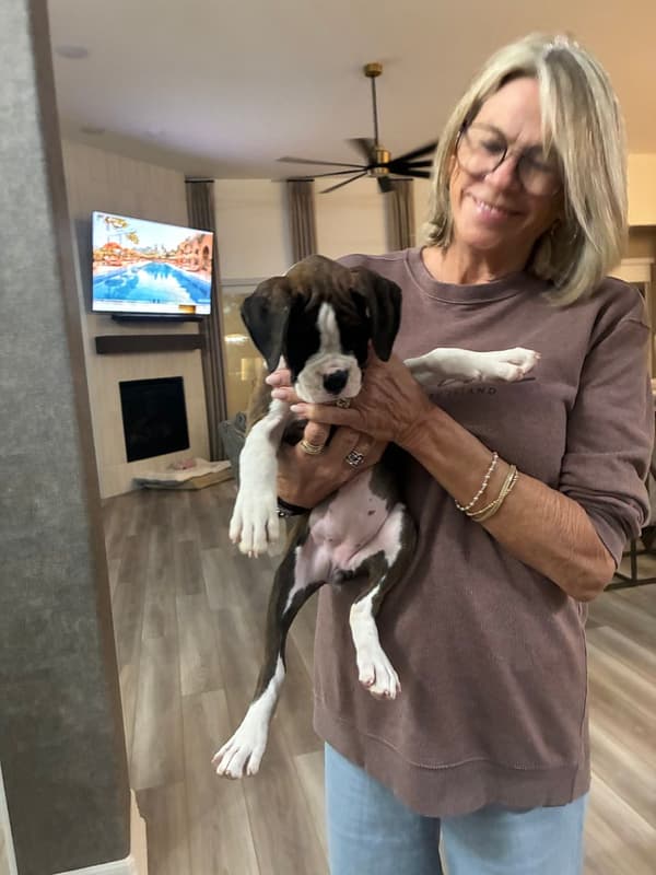 Customer photo of Boxer puppy from Barbara M.