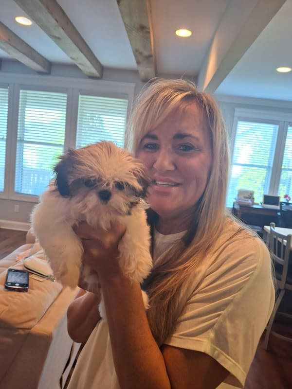 Customer photo of Shih Tzu puppy from Amy M.