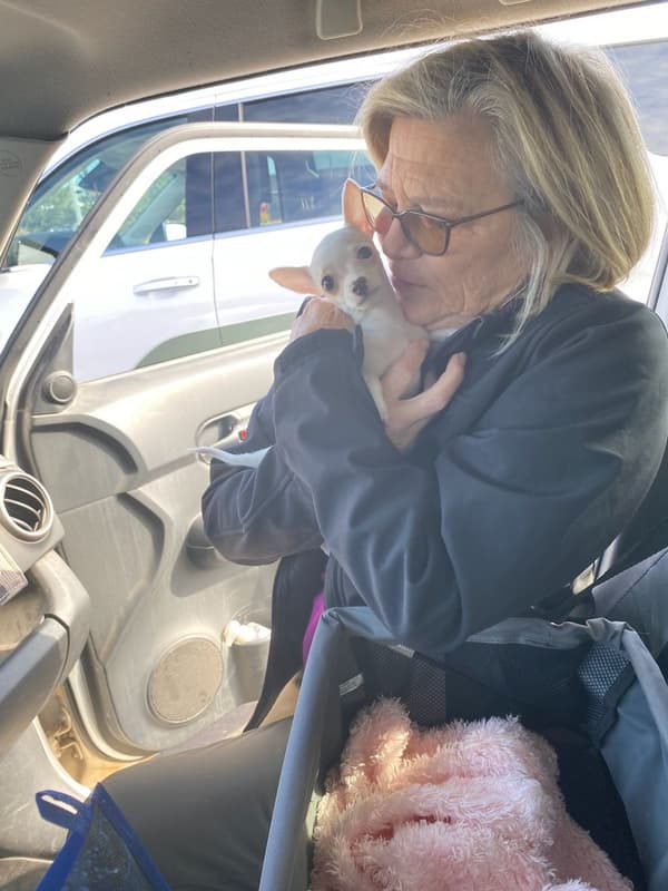 Customer photo of Chihuahua puppy from Joy M.