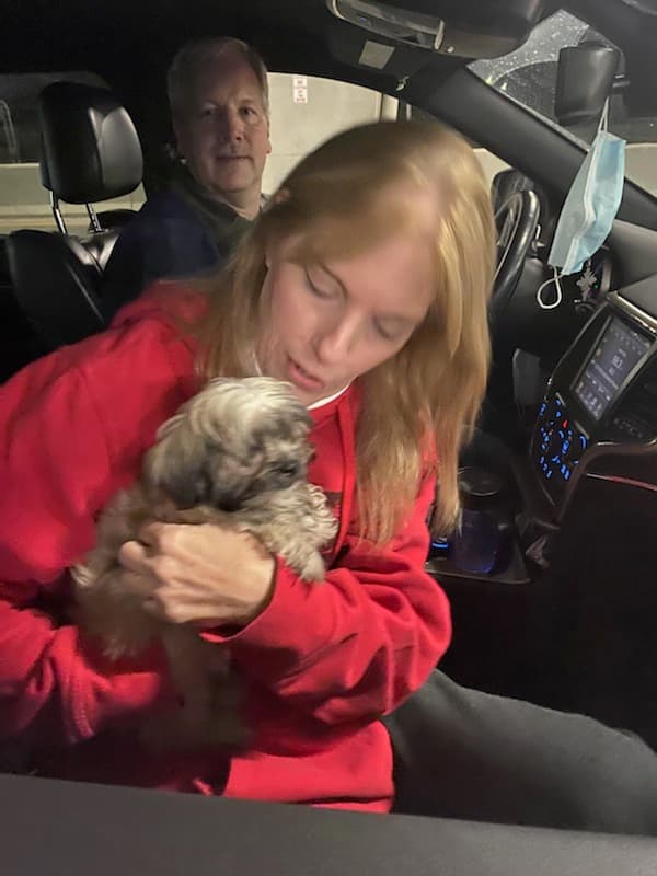 Customer photo of Shih-Poo - Shihpoo puppy from Diane Q.