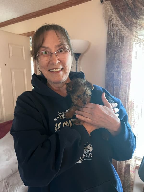 Customer photo of Yorkshire Terrier - Yorkie puppy from Dana M.