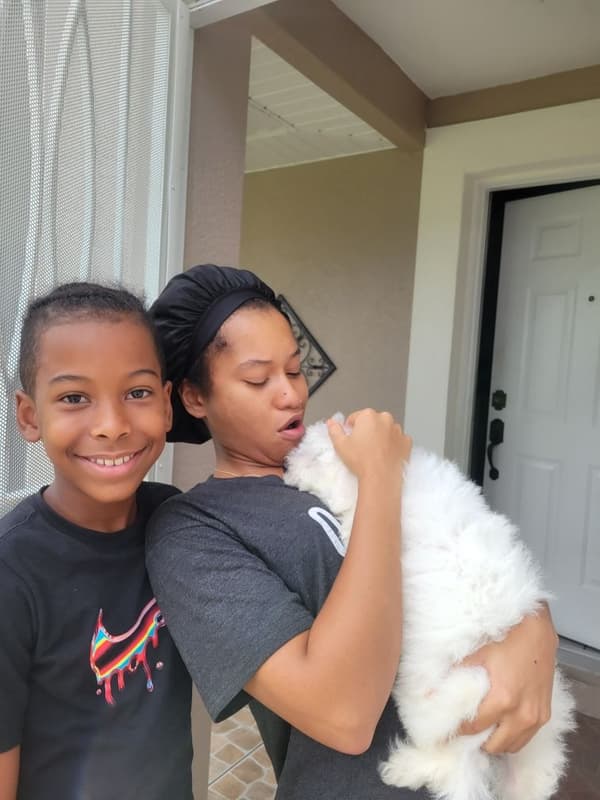 Customer photo of Bichon Frise puppy from Kayla M.