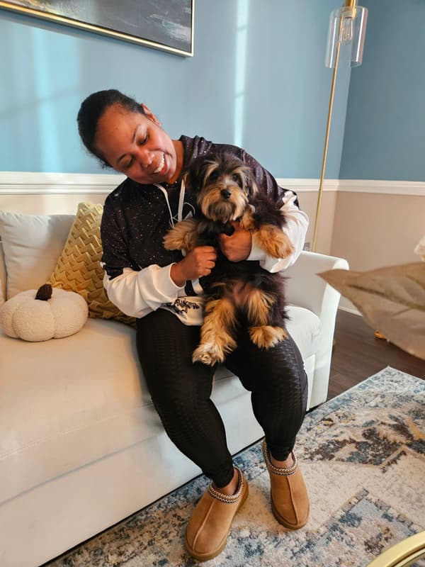 Customer photo of Yorkshire Terrier - Yorkie puppy from Cotrevia W.