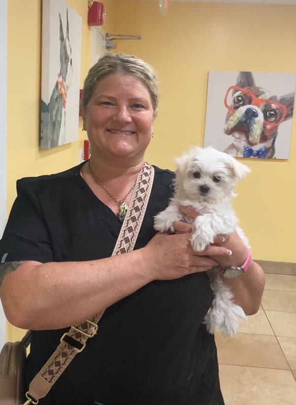 Customer photo of Maltese puppy from Alexa H.