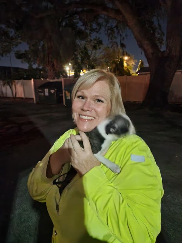 Customer photo of Boston Terrier puppy from Katherine S.