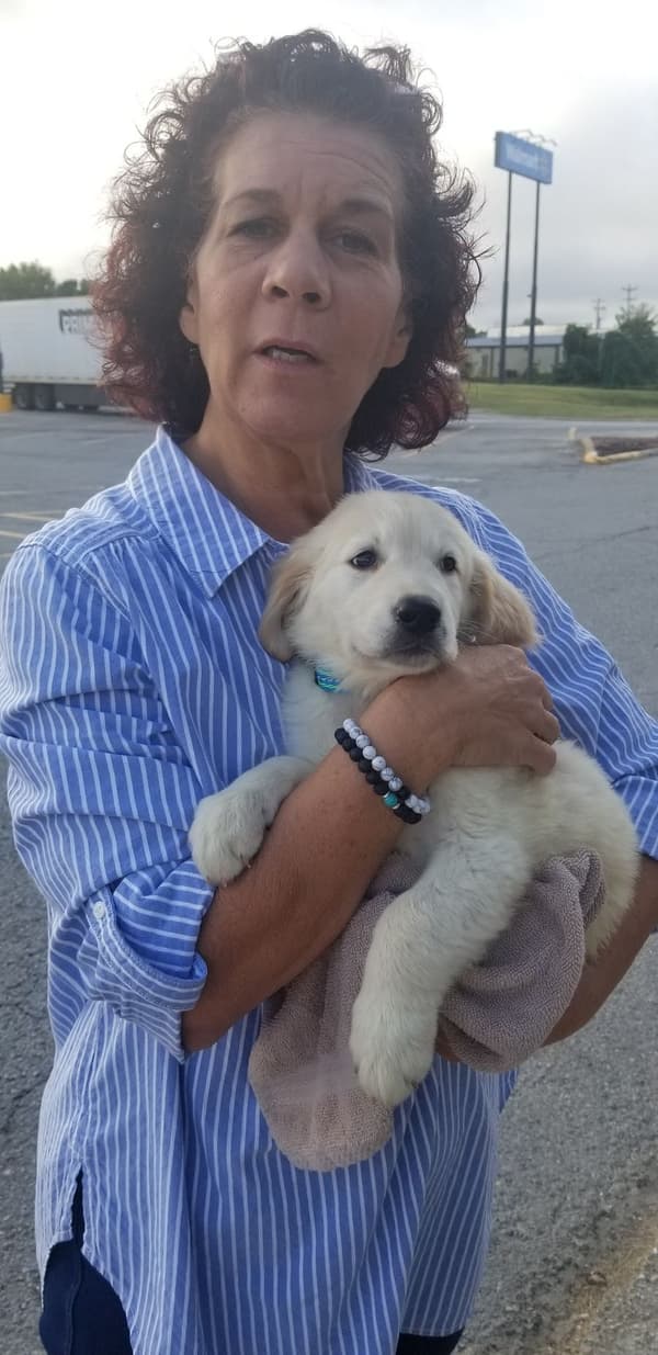 Customer photo of Golden Retriever puppy from Jennifer J.