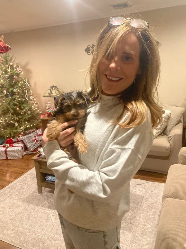 Customer photo of Yorkshire Terrier - Yorkie puppy from Jeannemarie M.