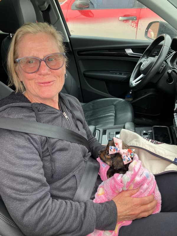 Customer photo of Yorkiepoo - Yorkie Poo puppy from Ray K.