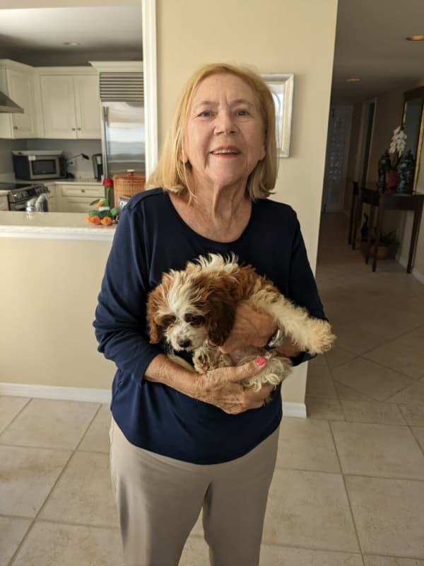 Customer photo of Cavapoo puppy from Emily J.
