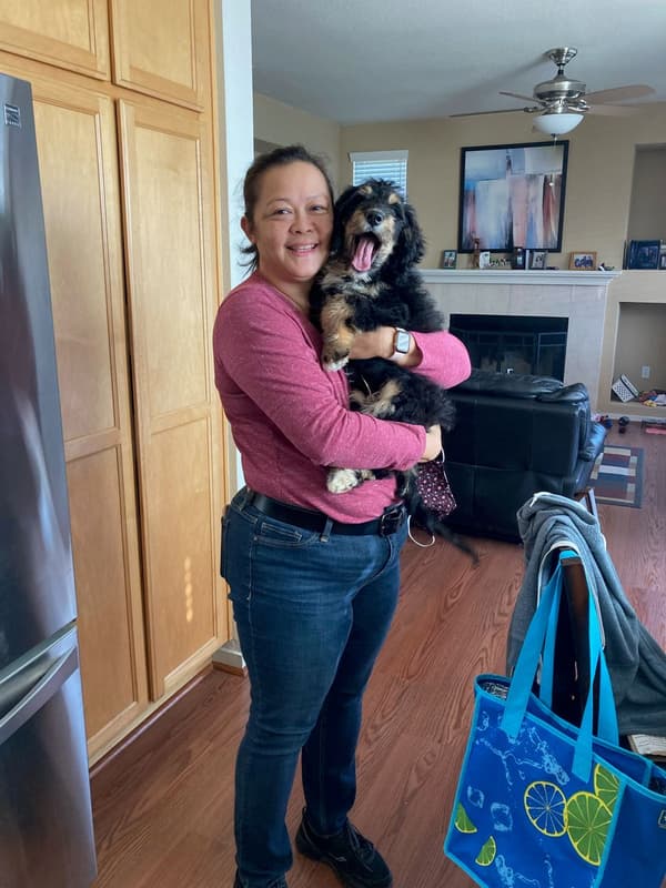 Customer photo of Bernedoodle, Mini puppy from Claudine R.