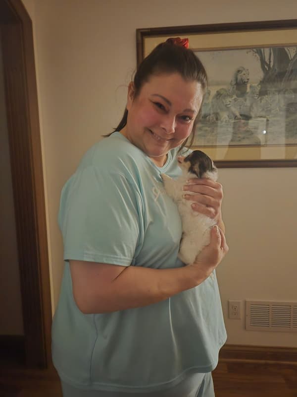 Customer photo of Chihuahua puppy from Tonya F.