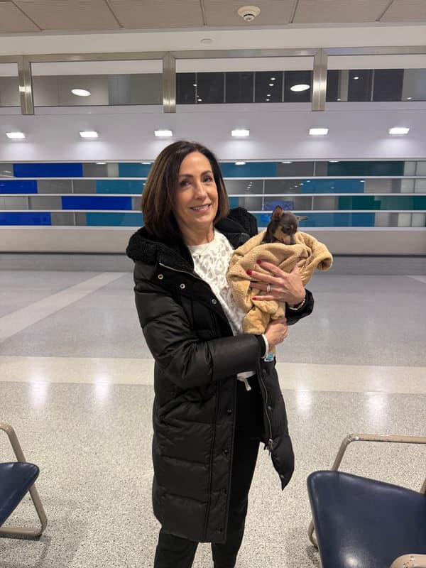 Customer photo of Chihuahua puppy from Lynn P.