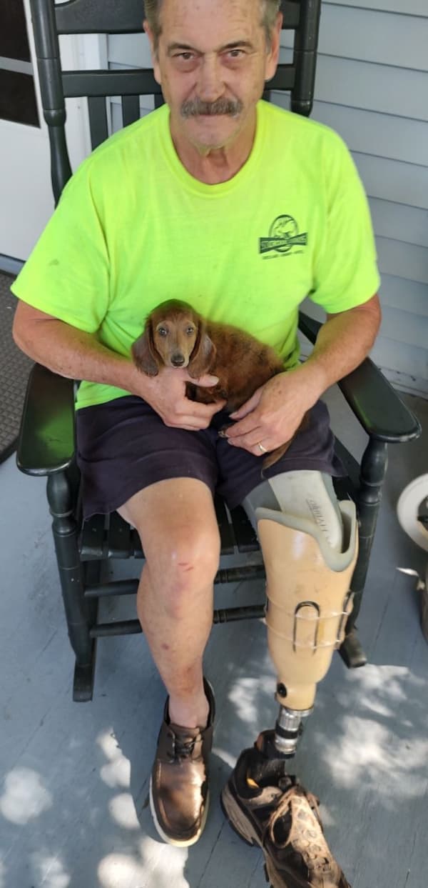 Customer photo of Dachshund, Mini puppy from Jeff P.