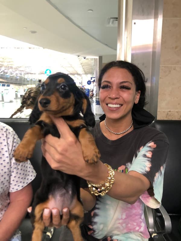 Customer photo of Dachshund, Mini puppy from Krystina C.