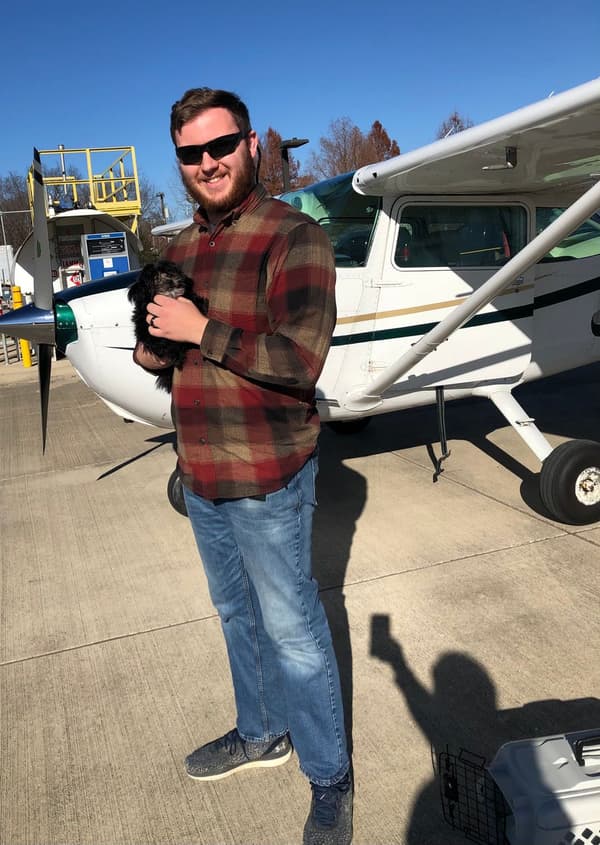 Customer photo of Shih-Poo - Shihpoo puppy from Anita M.