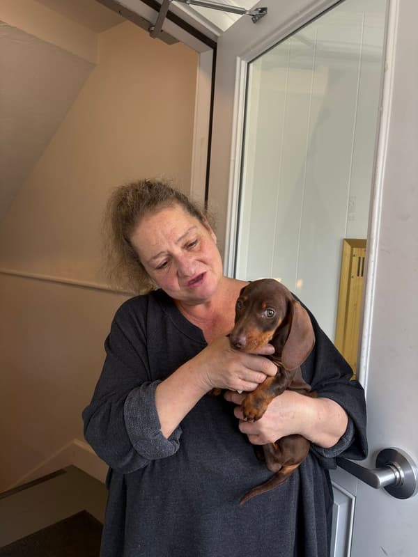 Customer photo of Dachshund, Mini puppy from Katreena S.