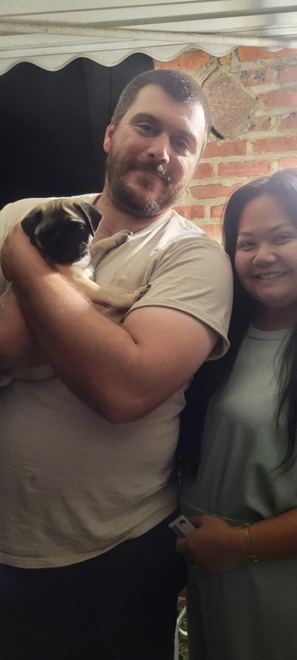 Customer photo of Pug puppy from Kirsten C.