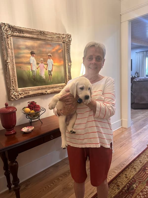 Customer photo of Labrador Retriever puppy from Victoria M.