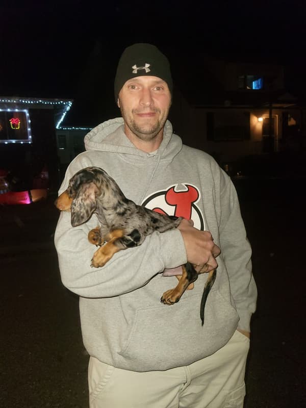 Customer photo of Dachshund puppy from Chris O.
