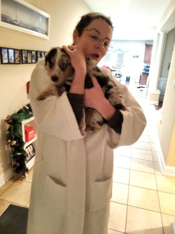 Customer photo of Australian Shepherd puppy from Katrina J.