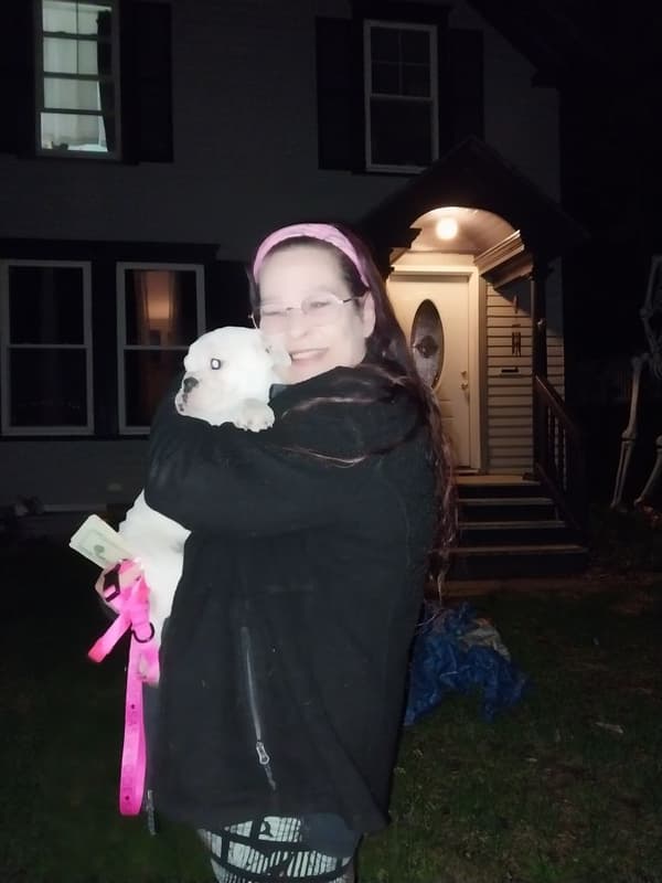 Customer photo of English Bulldog puppy from Ramona M.
