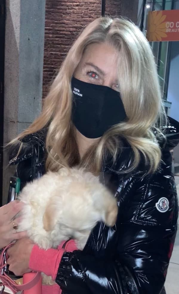 Customer photo of Poo-Ton puppy from Jaime R.