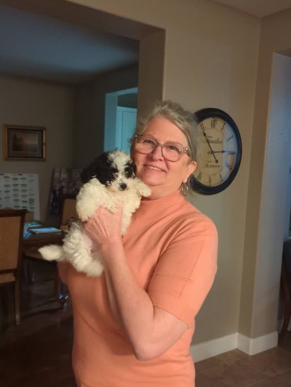 Customer photo of Bich-Poo - Bichpoo puppy from Tammy B.