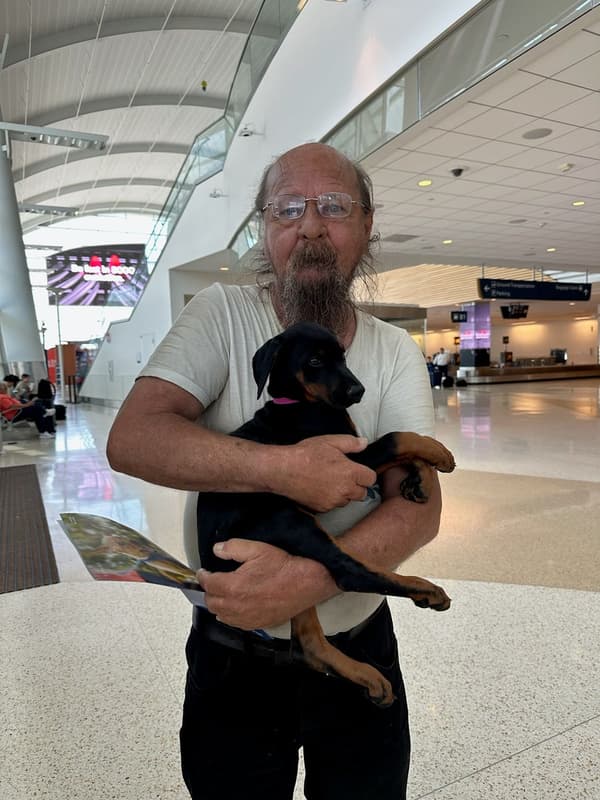 Customer photo of Doberman Pinscher puppy from John S.