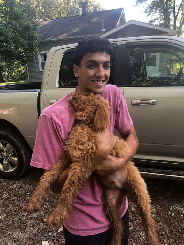 Customer photo of Goldendoodle puppy from Dawoud A.