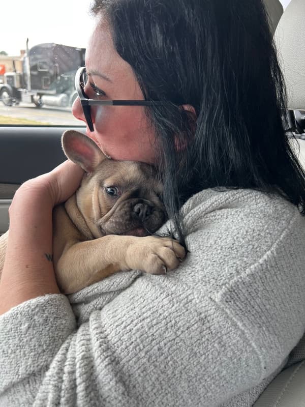 Customer photo of French Bulldog puppy from Sierra L.