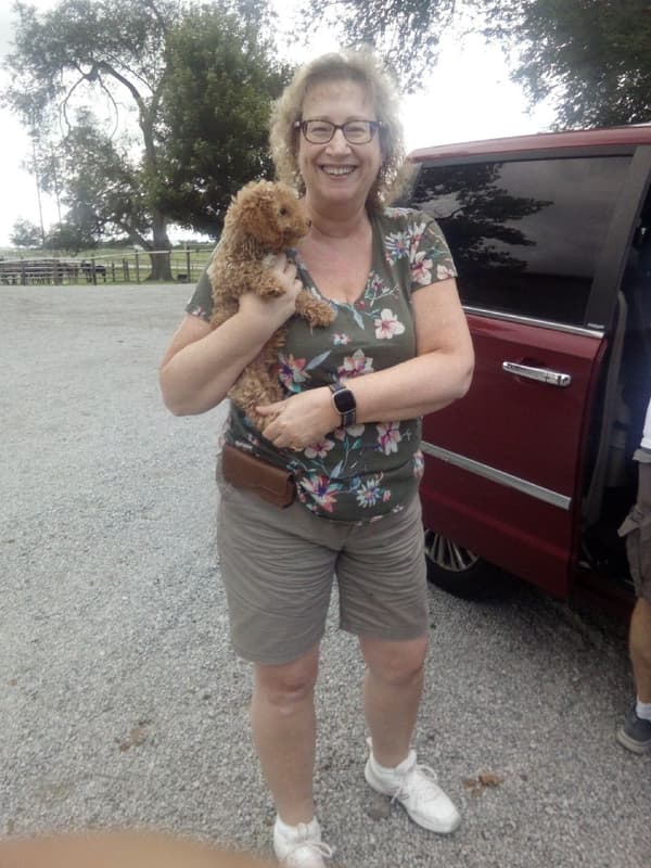 Customer photo of Goldendoodle, Mini puppy from Karen R.