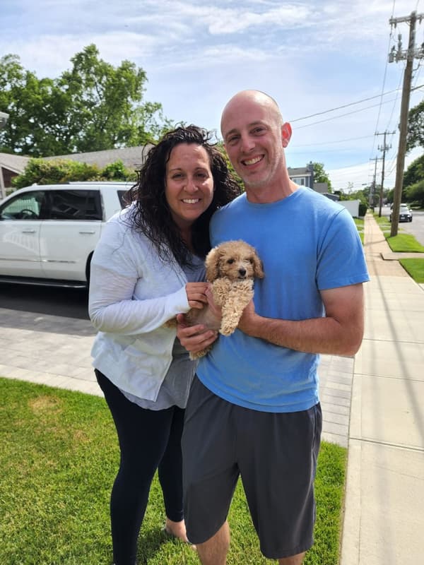 Customer photo of Poodle, Miniature puppy from Mark J.