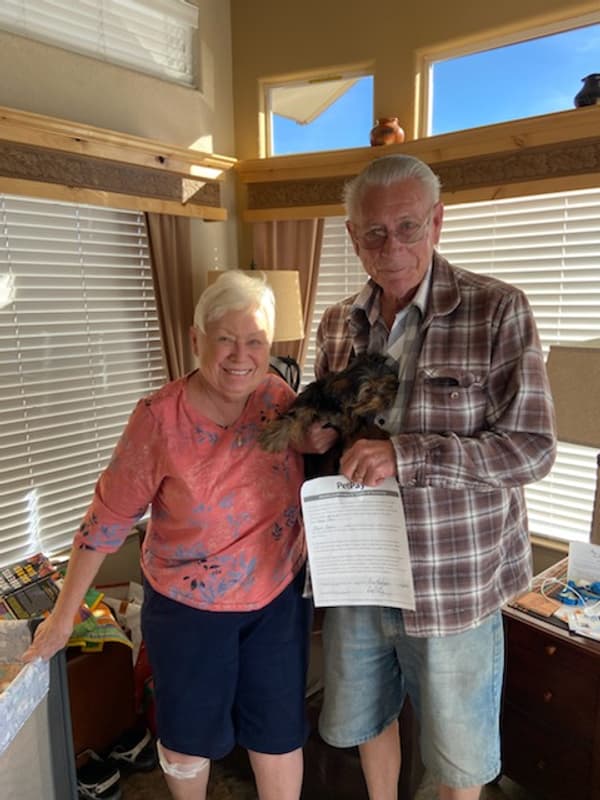 Customer photo of Yorkshire Terrier - Yorkie puppy from Robert R.