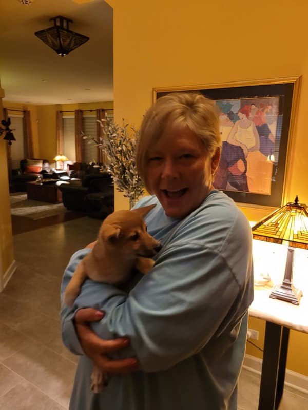 Customer photo of Shiba Inu puppy from Cathy L.
