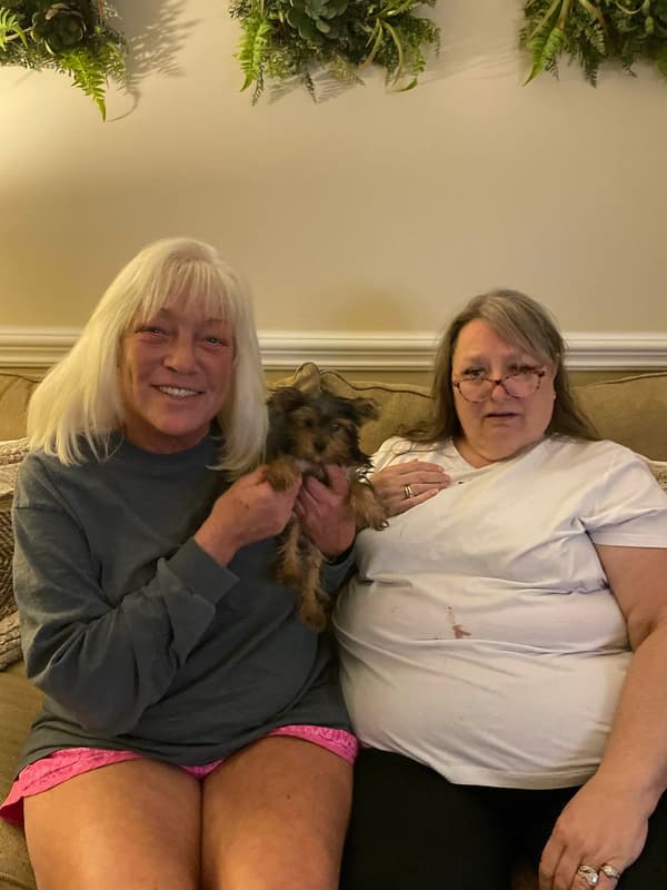 Customer photo of Yorkshire Terrier - Yorkie puppy from Valarie Y.
